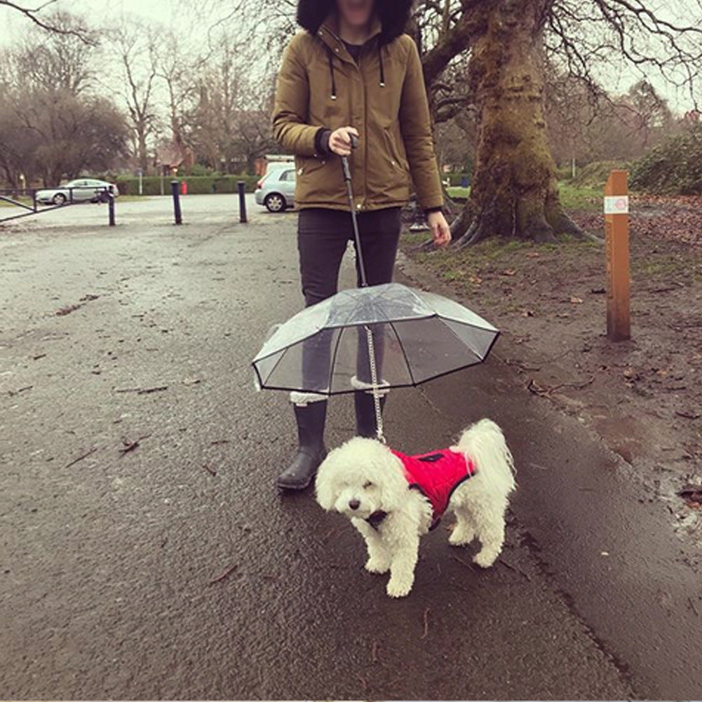 Transparent Pet Umbrella for Dogs – Stylish & Durable Waterproof Canopy for Pet Protection in Rainy Weather