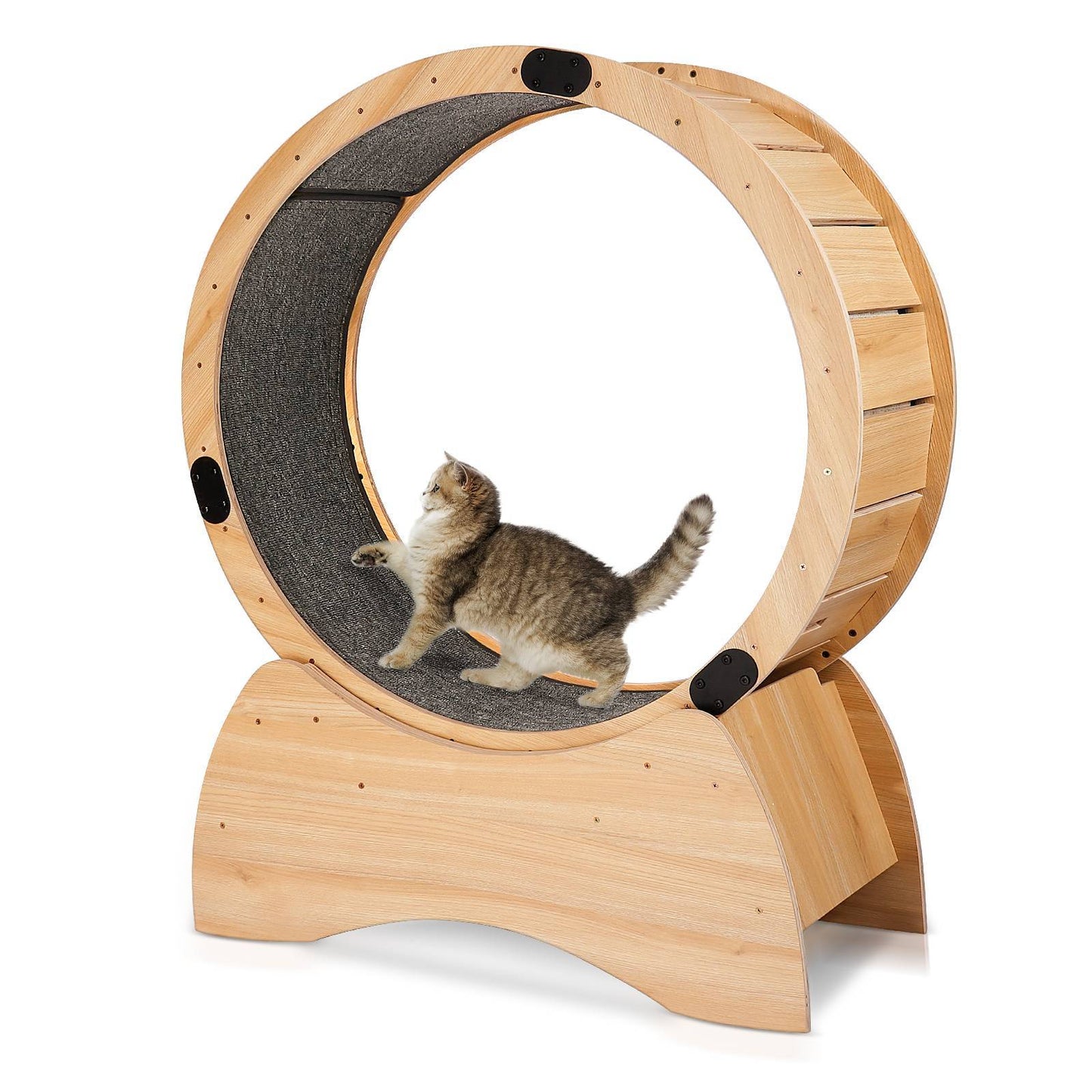 Cat Exercise Wheel Cat Treadmill With Carpeted Runway Kitty Cat Sport Toy