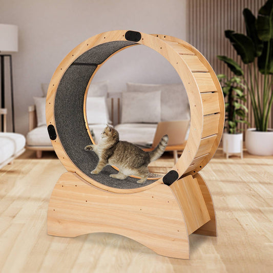 Cat Exercise Wheel Cat Treadmill With Carpeted Runway Kitty Cat Sport Toy